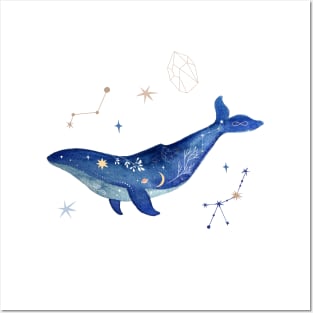 blue whale swimming in the ocean Posters and Art